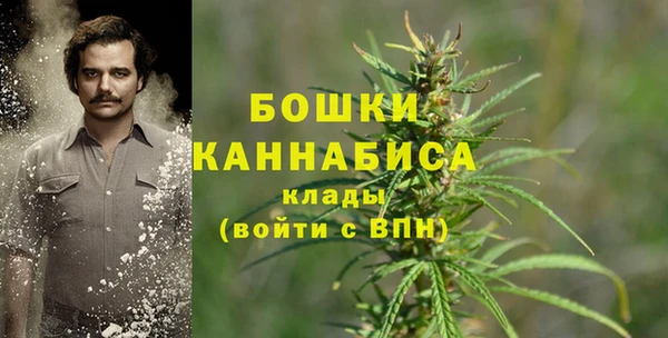 гидра Алзамай