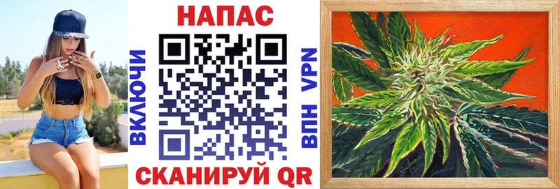 Канабис план  цены   Пущино 
